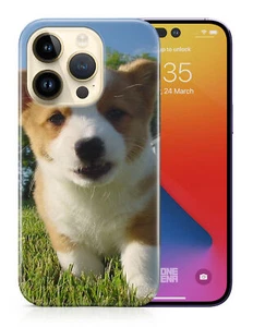 CASE COVER FOR APPLE IPHONE|CORGI DOG 12 - Picture 1 of 44