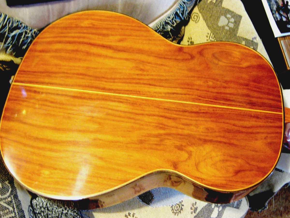 Giannini AWN 71 Classical Guitar Exotic Figured Braziliian