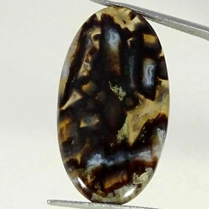 22.50 Cts Natural Oval Stick Agate Top Quality Cabochon Gemstone 19X35X4MM - Picture 1 of 6