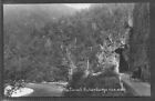 PHOTO POSTCARD OF THE TUNNEL, BULLER GORGE, NEW ZEALAND.