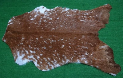 Alfombra de piel de taxidermia occidental CABRA patrón natural piel de cabra cuero de cabra SA-1063 Foto 1 de 3