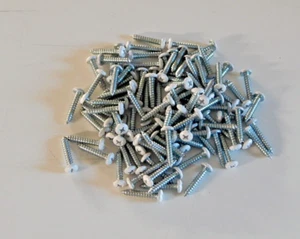 100 # 6 x 3/4" Phillips Cabeza Pan Tornillos para Chapa, Zinc, Cabezas Blancas - Imagen 1 de 3