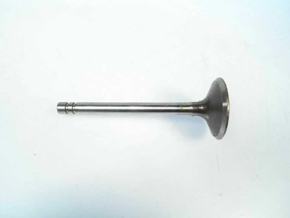 Engine Intake Valve Fits Renault Alliance Encore R18i & Fuego  021-3239 - Image 1 of 1