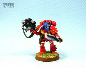 Warhammer 40k WGS pintado Marines Espaciales Sternguard Veterano con perno SM085 - Imagen 1 de 5