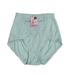 Ann Diane M High Waist Control Panties Underwear Briefs Blue Hidden Zip Pocket - Picture 1 of 11