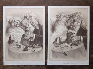 1889 "Muestra tu lengua" y "Siente mis dientes" par de caricaturas antiguas de perro Moore Vet - Imagen 1 de 10