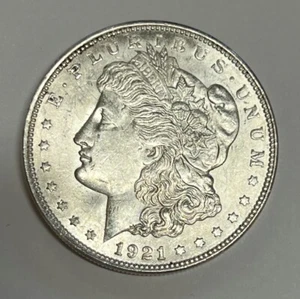 1921 Morgan Dollar Hot 50 Variety VAM 3E Pitted Reverse Brilliant Uncirculated - Picture 1 of 3