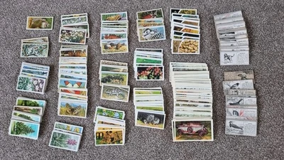 Brooke Bond Tea Cards Job Lot - Various Sets 1950's-80s Flowers, Animals, Cars - Image 1 of 4