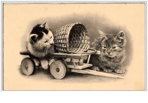 Kittens Basket - Picture 1 of 1