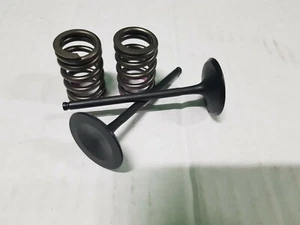 KIT 2 VALVOLE ASPIRAZIONE IN ACCIAIO CON MOLLE PER KAWASAKI KXF 250 2011 - Foto 1 di 1