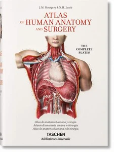 Bourgery. Atlas de anatomía humana y cirugía Minor, Jean-Marie Le and Sick, Henr - Bild 1 von 4