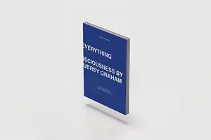 DRAKE Titles Ruin Everything: A Stream of Consciousness *IN HAND U.S. Seller - Picture 1 of 1