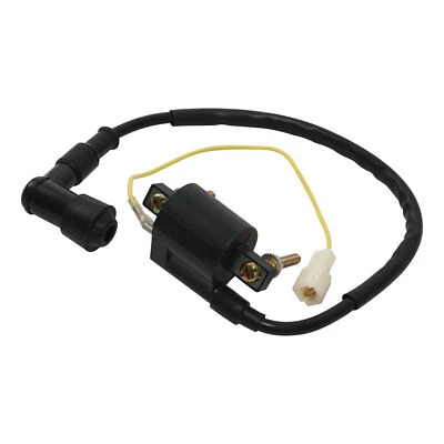Bobina de encendido apta para Yamaha PW50 1986-1987 1990-2009 PW80 Y-Zinger 1983-2006  Foto 1 de 4