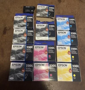 Lot of 13 Epson 220XL Ink Cartridge Genuine Original EXPIRED 2017 Blk Blu Y Mag - Picture 1 of 1