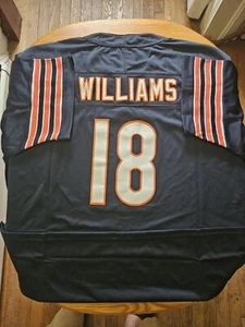 Individuell genähte Bären Trikot 3XL Williams - Bild 1 von 2