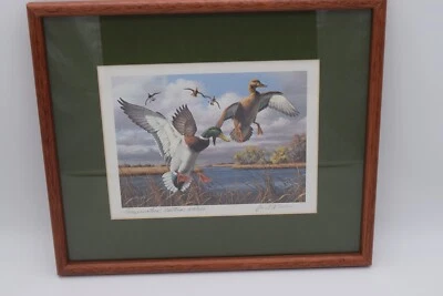 1986 New York State Duck Stamp Print Mallards David Maass 217 0f 250 - Imagem 1 de 4