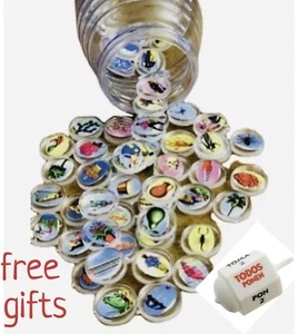Loteria Bingo Chips In Vitrolero Free Toma Todo Mexican Toy Family Game New - Picture 1 of 6