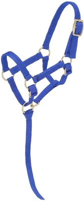 Miniature Nylon Halter - image 1 of 4