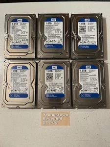 LOT OF 6 WESTERN DIGITAL BLUE 1TB DESKTOP HDD 3.5” SATA III 7200RPM WD10EZEX - Picture 1 of 11