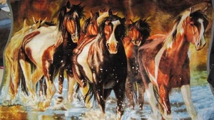Northwest Throw Blanket Velour Rush Hour 56x48 Plush Decor Ranch Cowboy Western - Picture 1 of 9
