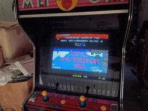 The New Zealand Story By Taito Pcb Jamma Arcade Working Version Boot Autorizzato - Foto 1 di 12