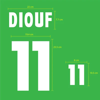 DIOUF #11 Senegal Away World Cup 2002 FLOCK VELVET NAME NUMBER PRINT - Image 1 of 4