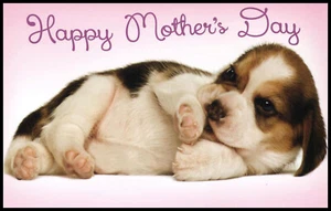 Grußkarte - Hund Welpe - Muttertag - 1067 - Bild 1 von 2