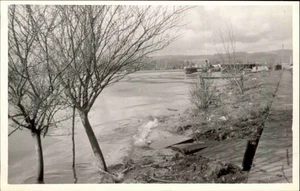 CHILE Südamerika ~1950 Tarjeta Postal Fluss-Landschaft River South America - Picture 1 of 2