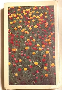 Carte da gioco Arrco Campo di Tulipani SIGILLATE Made in USA Chicago Vintage NOS - Foto 1 di 3