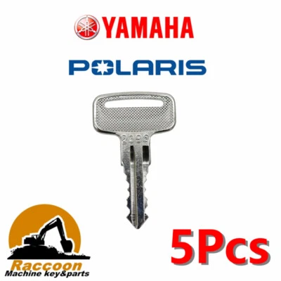 5pcs Polaris Carts Yamaha Carts keys 2398 4018674 - Image 1 of 3