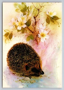 Vintage fotochrome Igel Postkarte mit floralem Hintergrund, Made in Germany - Bild 1 von 2