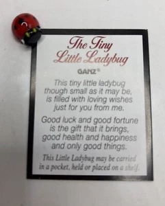 Ganz Lucky Little Ladybug 🐞 Charm Medaille mit Gedichtkarte Mini Glasfigur - Bild 1 von 5