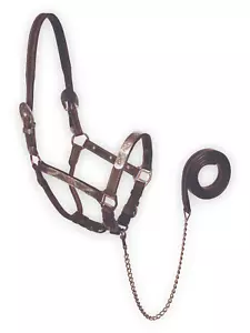 Halter para exhibición de cuero de búfalo aceite oscuro - Imagen 1 de 1