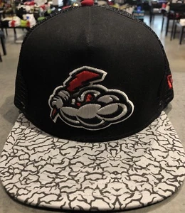 Snapback de ligas menores New Era en negro/gris ¡nuevo con etiquetas al por menor $31.99! 100% auténtico!¡! - Imagen 1 de 10