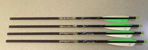 Carbon Express Crossbolt PileDriver 20" Half Moon Nock 52147 4pk Crossbow Arrow - Picture 1 of 3