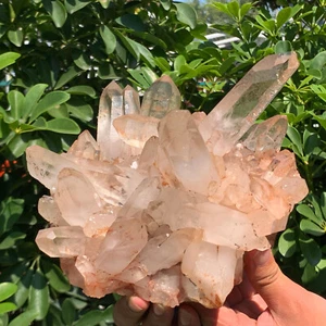 7.26LB A+++Large Natural white Crystal Himalayan quartz cluster /mineralsls - Picture 1 of 13