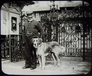 Glass Magic Lantern Slide TUSKS SUCCESSOR C1900 VICTORIAN PHOTO DOG - Picture 1 of 2