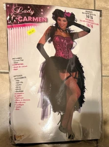 Lady Carmen Burlesque Dancer Corset Top Skirt Dress Costume NEW Womens 1 size - Picture 1 of 2