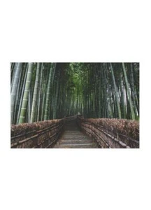 Poster Earth Poster su carta di alta qualita Stampa moderna natura Poster arredo - Picture 1 of 5