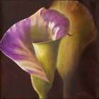 Calla Lily Accent &amp; Decor Tile Wilder Rich Floral Art OB-WR1346AT