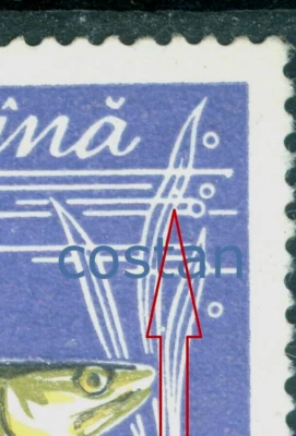 1960 Fish,Zander/Sander/Lucioperca lucioperca,Romania,Mi.1928,VFU,ERROR/9 - Image 1 of 2