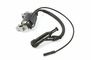 Módulo de bobina de encendido para motor de gas JiangDong JF168 5,5 HP - Imagen 1 de 1