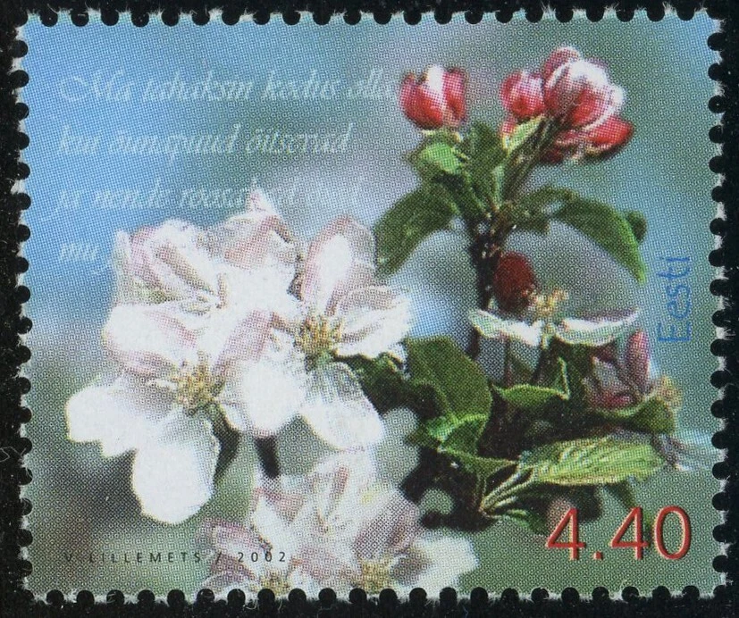 Estampilla postal de Estonia #436 flores de primavera 4,40 k 2002 Eesti MLH Foto 1 de 1