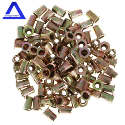 MARDDPAIR 100 Pcs M6 Metric Carbon Steel Rivet Nut Flat Head Threaded Insert Nutsert