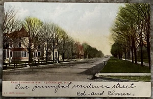 East Ludington Avenue Ludington Michigan Street Scene 1905 UDB Postcard B025 - Picture 1 of 3