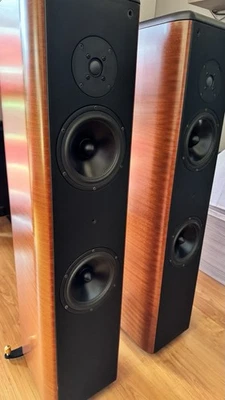 COPPIA DIFFUSORI PAVIMENTO OPERA SECONDA LOUDSPEAKERS 2,5 VIE TWEETER SETA SEAS - Immagine 1 di 4