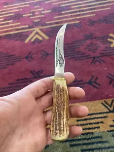 Case XX Small Game Knife 523- 3 1/4 SSP *RARE* Circa 1979 - Picture 1 of 12