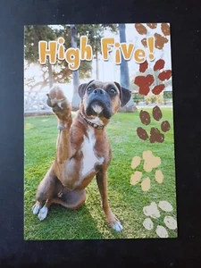 Funny Congratulations Card  - Picture 1 of 4