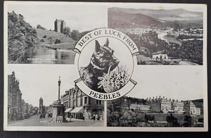 Early PEEBLES Borders Best of Luck SCOTTISH TERRIER Dog Multiview Postcard - Picture 1 of 1