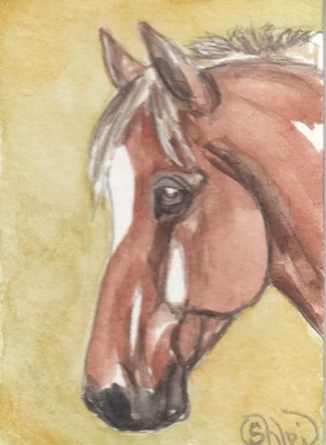 Tarjeta de arte acuarela original ACEO CABALLO lino castaño PINTO castrado pony pesado Foto 1 de 3